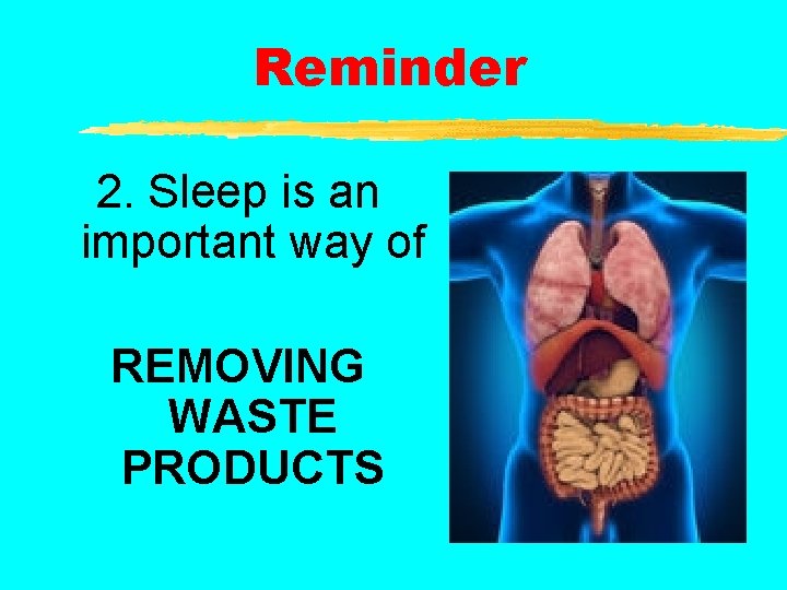 Reminder 2. Sleep is an important way of REMOVING WASTE PRODUCTS 