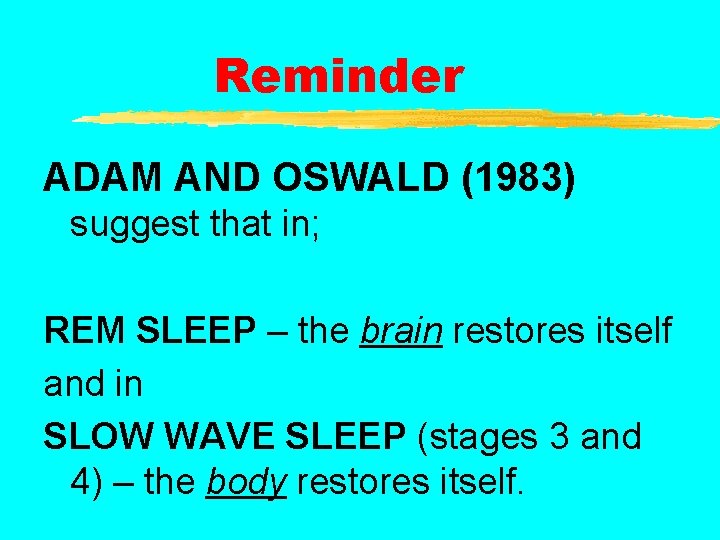 Reminder ADAM AND OSWALD (1983) suggest that in; REM SLEEP – the brain restores