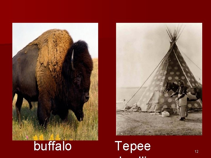 buffalo Tepee 12 