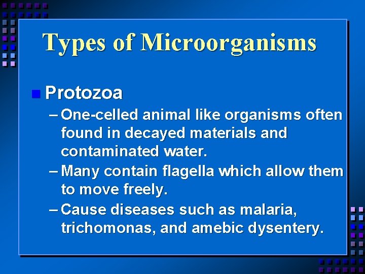 Types of Microorganisms n Protozoa – One-celled animal like organisms often found in decayed