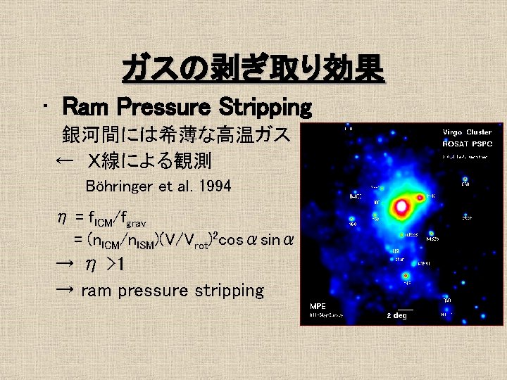 ガスの剥ぎ取り効果 • Ram Pressure Stripping 銀河間には希薄な高温ガス ← Ｘ線による観測 Böhringer et al. 1994 η =