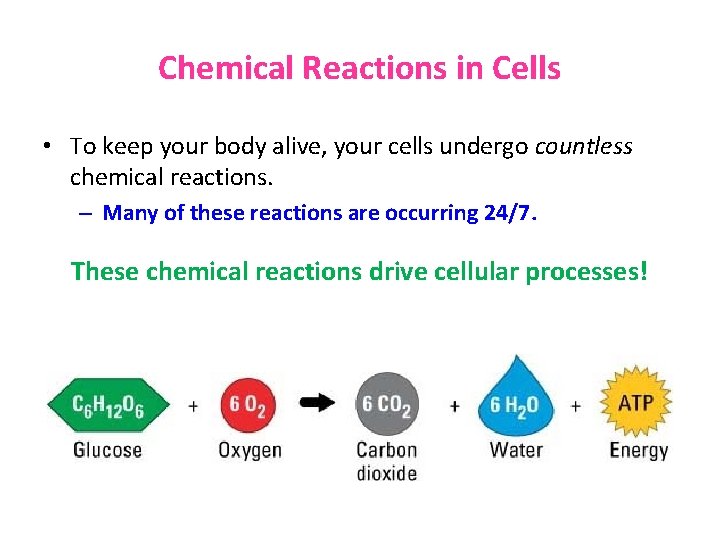 Chemical Reactions in Cells • To keep your body alive, your cells undergo countless