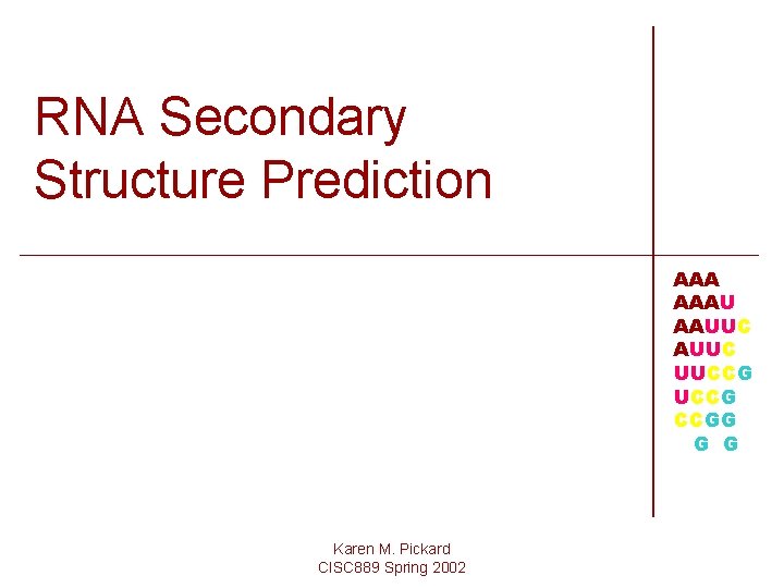 RNA Secondary Structure Prediction AAAU AAUUC UUCCG CCGG G G Karen M. Pickard CISC