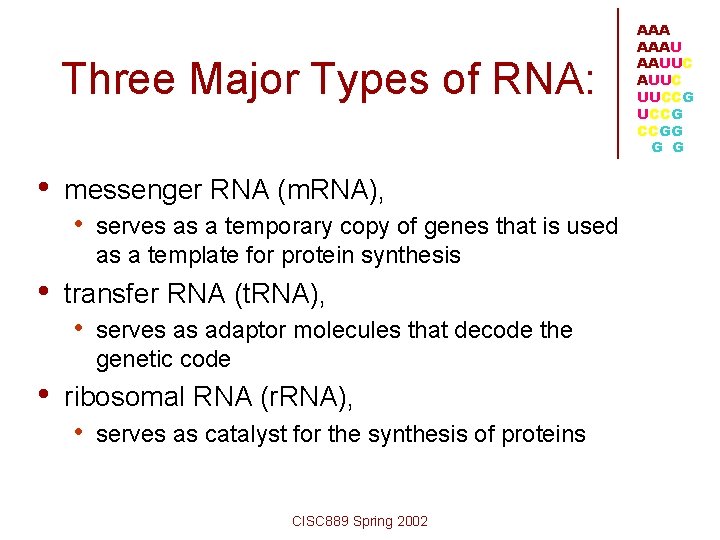 Three Major Types of RNA: • messenger RNA (m. RNA), • serves as a