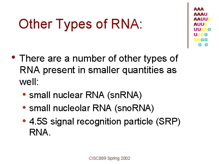 Other Types of RNA: • There a number of other types of RNA present