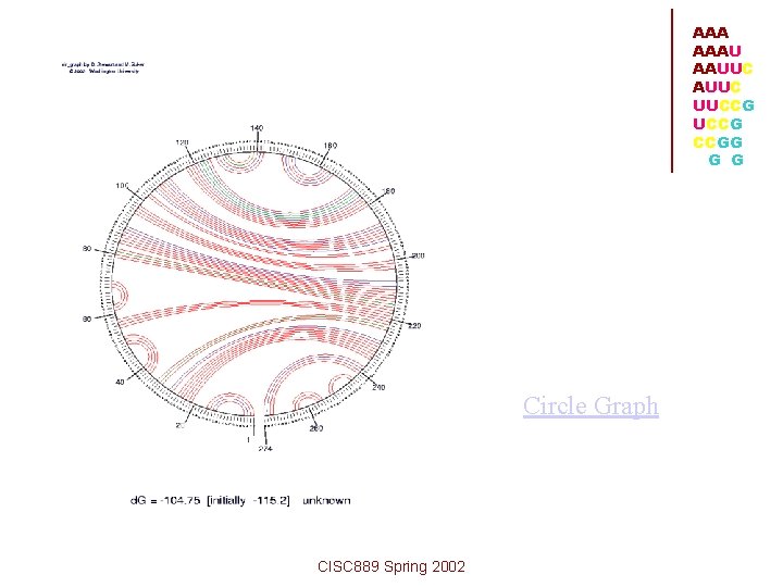 AAA AAAU AAUUC UUCCG CCGG G G Circle Graph CISC 889 Spring 2002 