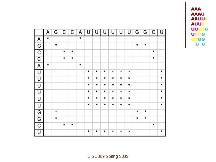 AAA AAAU AAUUC UUCCG CCGG G G CISC 889 Spring 2002 