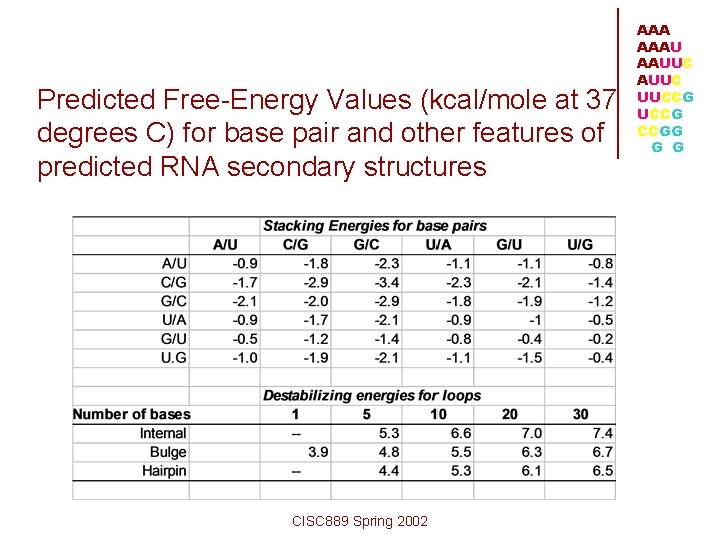Predicted Free-Energy Values (kcal/mole at 37 degrees C) for base pair and other features