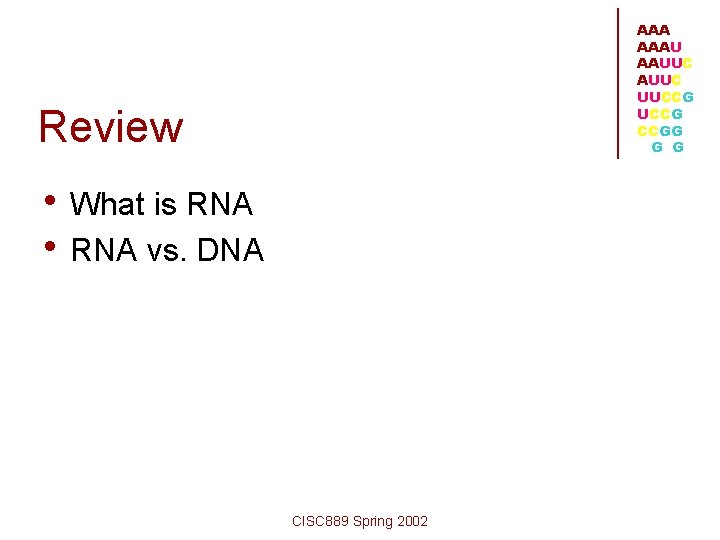 AAA AAAU AAUUC UUCCG CCGG G G Review • What is RNA • RNA