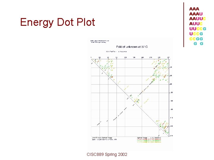 Energy Dot Plot CISC 889 Spring 2002 AAAU AAUUC UUCCG CCGG G G 