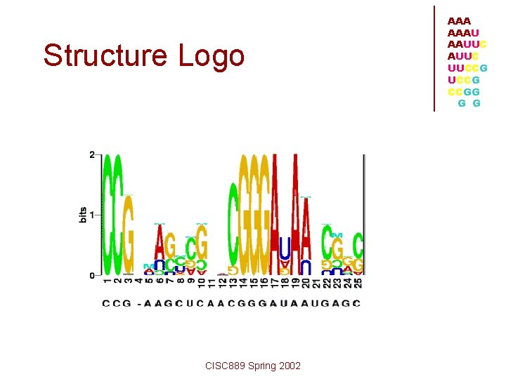 Structure Logo CISC 889 Spring 2002 AAAU AAUUC UUCCG CCGG G G 