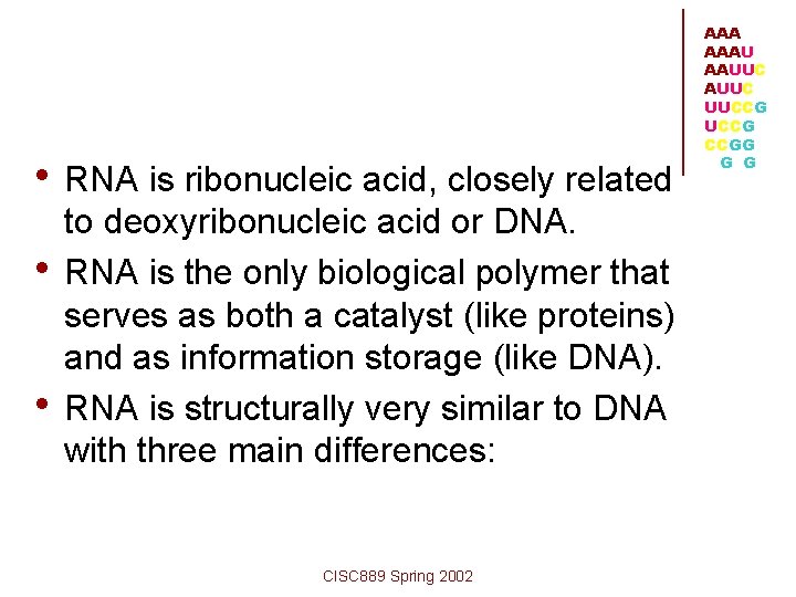  • RNA is ribonucleic acid, closely related • • to deoxyribonucleic acid or