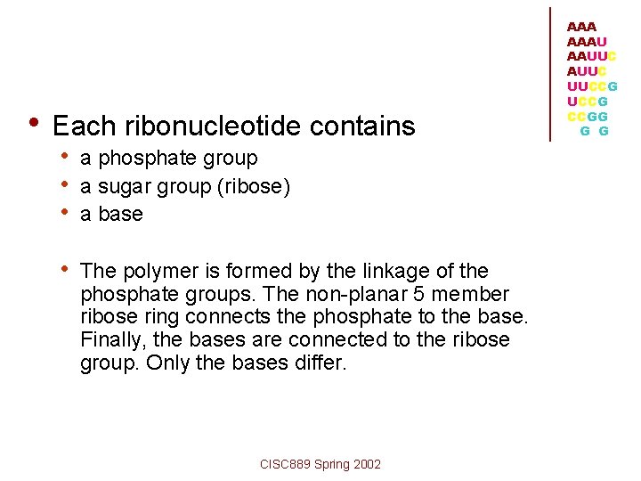  • Each ribonucleotide contains • a phosphate group • a sugar group (ribose)