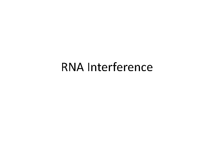 RNA Interference 