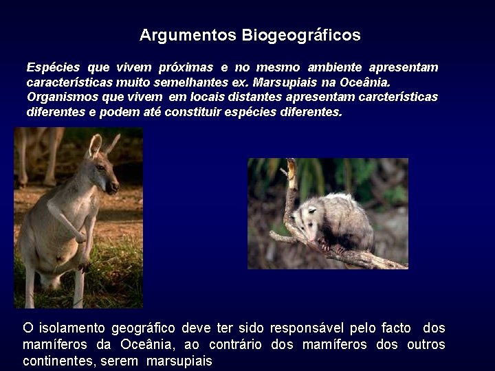 Argumentos Biogeográficos Espécies que vivem próximas e no mesmo ambiente apresentam características muito semelhantes