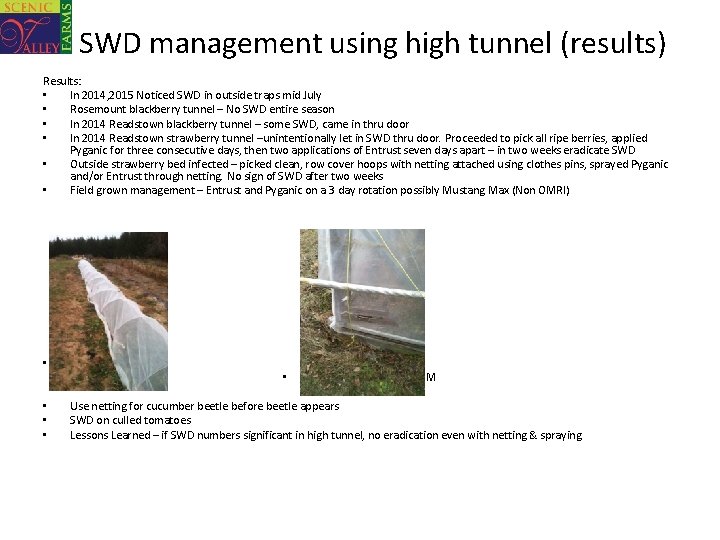 SWD management using high tunnel (results) Results: • In 2014, 2015 Noticed SWD in
