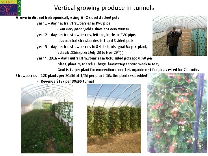 Vertical growing produce in tunnels Grown in dirt not hydroponically using 6 - 8