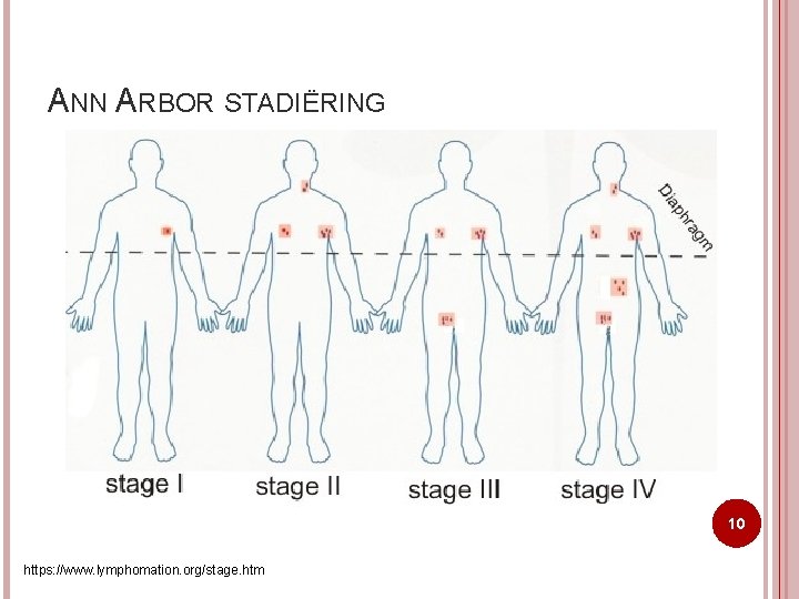 ANN ARBOR STADIËRING 10 https: //www. lymphomation. org/stage. htm 