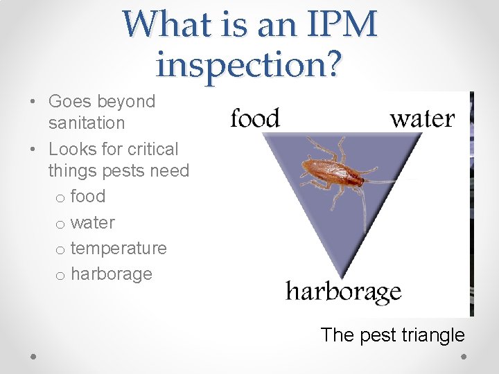What is an IPM inspection? • Goes beyond sanitation • Looks for critical things