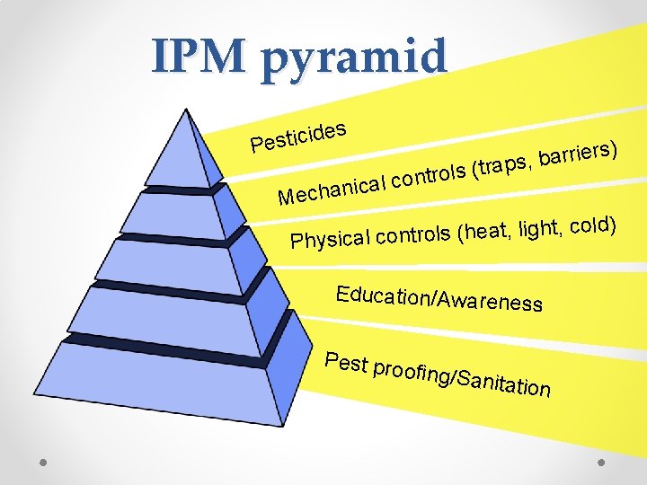 IPM pyramid ides c i t s e P l a c i n