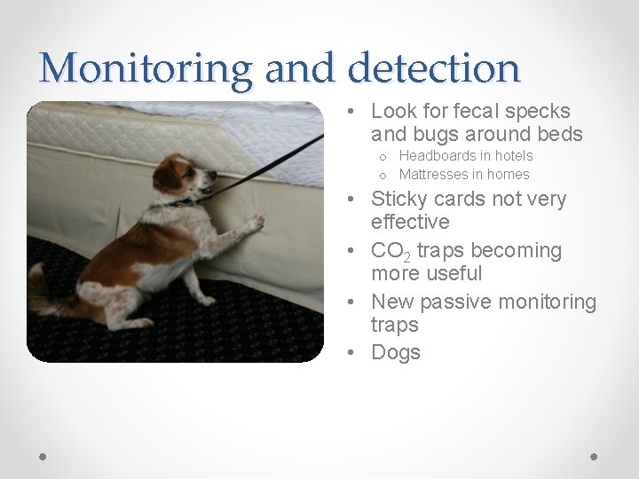 Monitoring and detection • Look for fecal specks and bugs around beds o Headboards