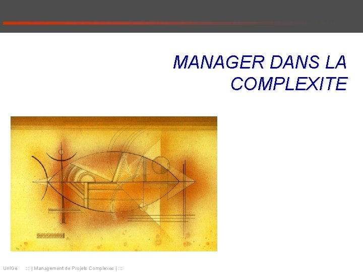 MANAGER DANS LA COMPLEXITE Uni. Ge : : : | Management de Projets Complexes MANAGER DANS LA COMPLEXITE Uni. Ge : : : | Management de Projets Complexes