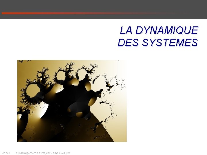 LA DYNAMIQUE DES SYSTEMES Uni. Ge : : : | Management de Projets Complexes