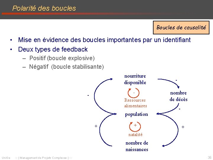 Polarité des boucles Boucles de causalité • Mise en évidence des boucles importantes par