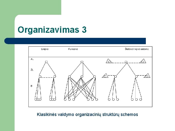 Organizavimas 3 Klasikinės valdymo organizacinių struktūrų schemos 