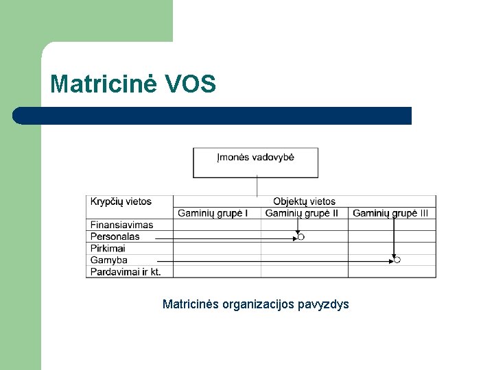 Matricinė VOS Matricinės organizacijos pavyzdys 