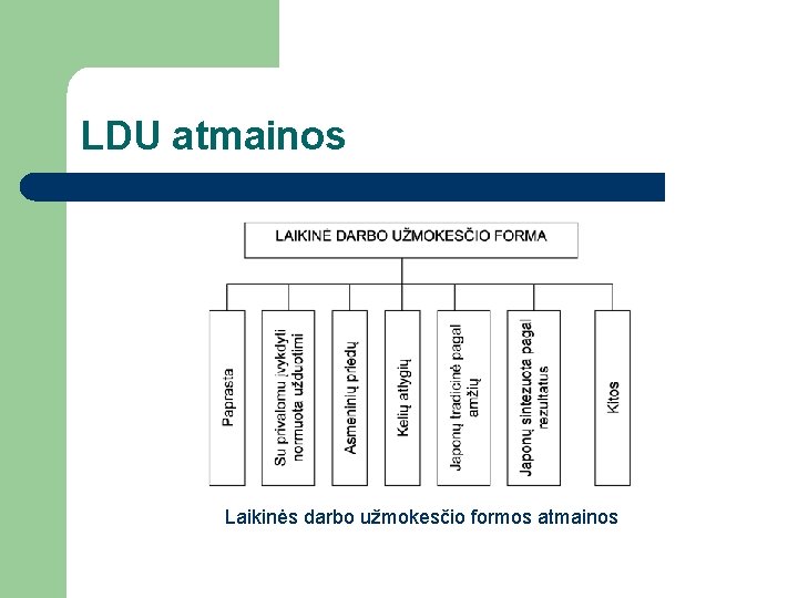 LDU atmainos Laikinės darbo užmokesčio formos atmainos 