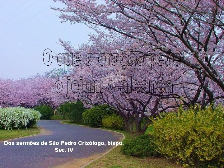 Dos sermões de São Pedro Crisólogo, bispo. Sec. IV 