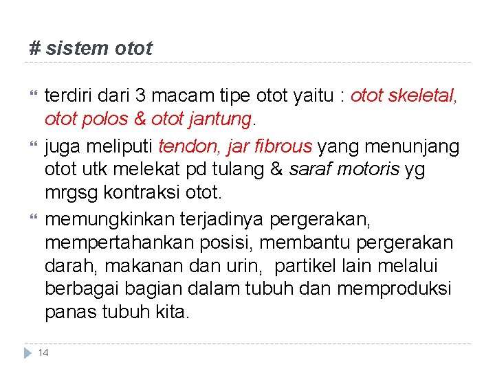 # sistem otot terdiri dari 3 macam tipe otot yaitu : otot skeletal, otot