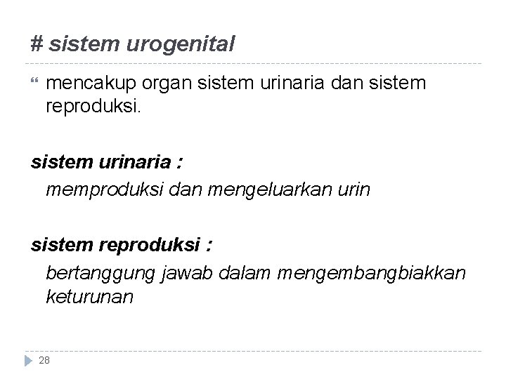 # sistem urogenital mencakup organ sistem urinaria dan sistem reproduksi. sistem urinaria : memproduksi