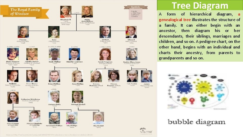 Tree Diagram A form of hierarchical diagram, a genealogical tree illustrates the structure of