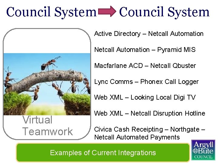 Council System Active Directory – Netcall Automation – Pyramid MIS Macfarlane ACD – Netcall