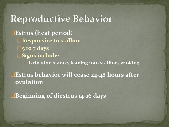 Reproductive Behavior �Estrus (heat period) � Responsive to stallion � 5 to 7 days