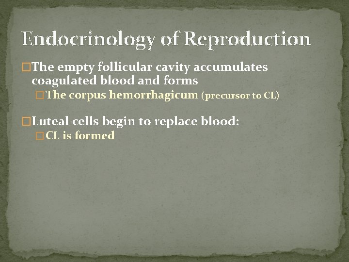 Endocrinology of Reproduction �The empty follicular cavity accumulates coagulated blood and forms � The