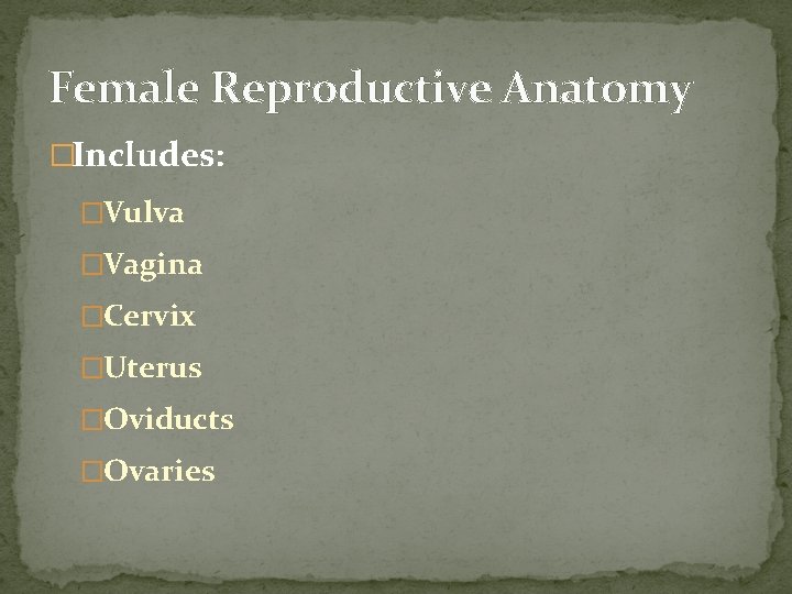 Female Reproductive Anatomy �Includes: �Vulva �Vagina �Cervix �Uterus �Oviducts �Ovaries 