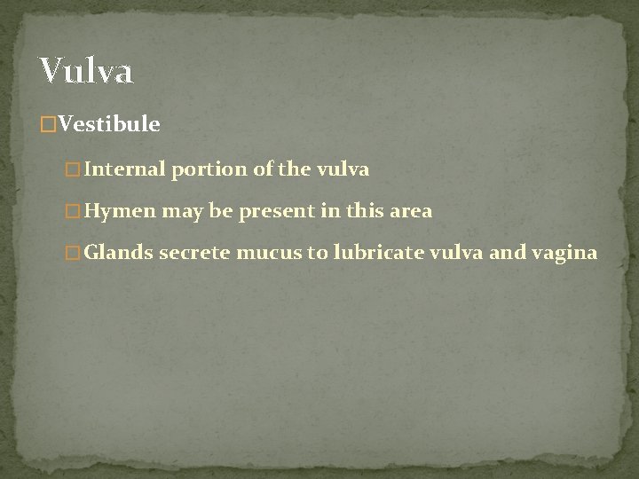 Vulva �Vestibule � Internal portion of the vulva � Hymen may be present in