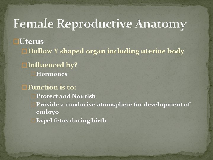 Female Reproductive Anatomy �Uterus � Hollow Y shaped organ including uterine body � Influenced