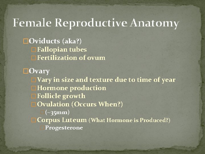 Female Reproductive Anatomy �Oviducts (aka? ) � Fallopian tubes � Fertilization of ovum �Ovary