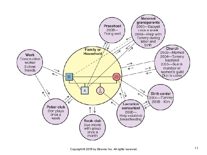 Copyright © 2016 by Elsevier Inc. All rights reserved. 13 
