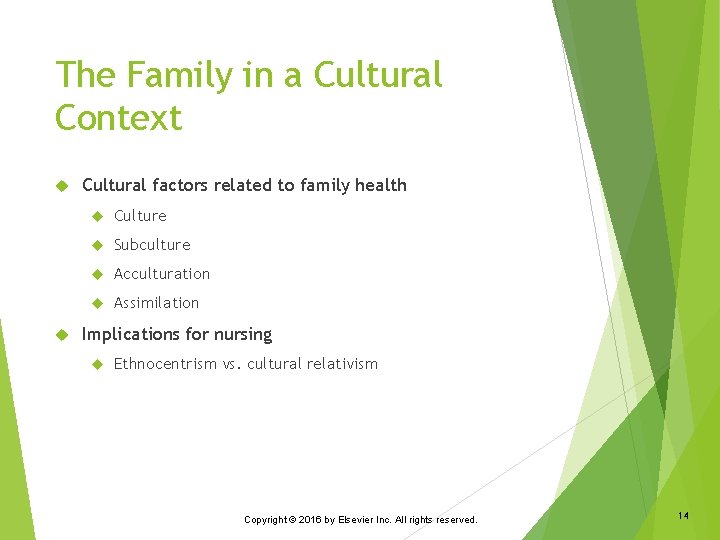 The Family in a Cultural Context Cultural factors related to family health Culture Subculture