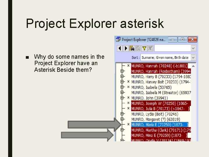 Project Explorer asterisk ■ Why do some names in the Project Explorer have an