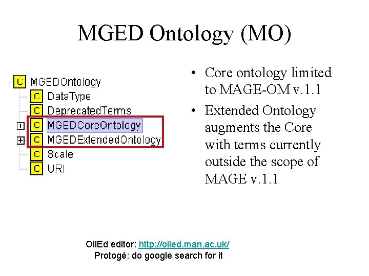 MGED Ontology (MO) • Core ontology limited to MAGE-OM v. 1. 1 • Extended