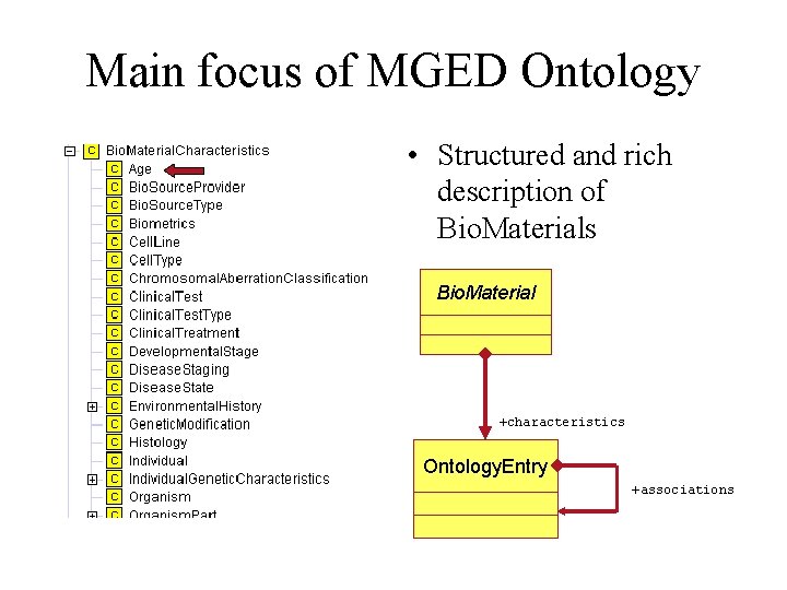 Main focus of MGED Ontology • Structured and rich description of Bio. Materials Bio.