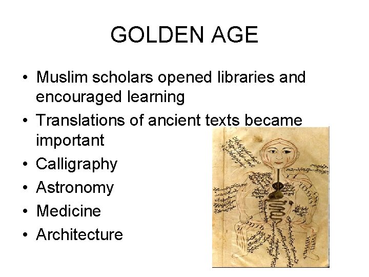 GOLDEN AGE • Muslim scholars opened libraries and encouraged learning • Translations of ancient