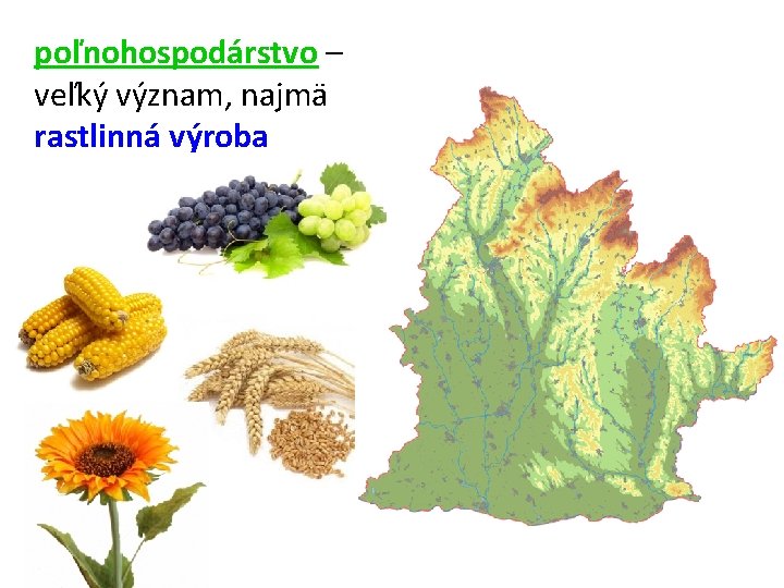 poľnohospodárstvo – veľký význam, najmä rastlinná výroba 