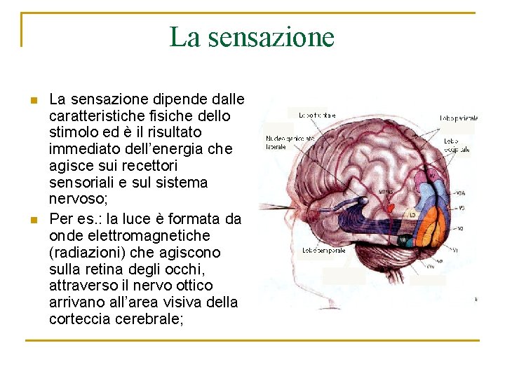 La sensazione n n La sensazione dipende dalle caratteristiche fisiche dello stimolo ed è